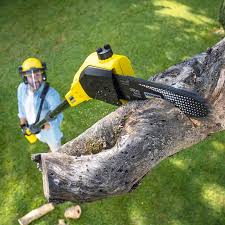 Lawn Maintenance Plans in Hogansville, GA
